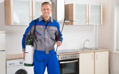 Pest Control Service Providers