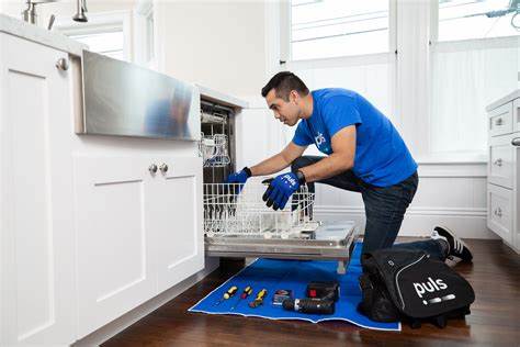 Professional Appliance Repair services
