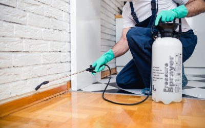 Unveiling the Best Pest Control Services Near Me (You)