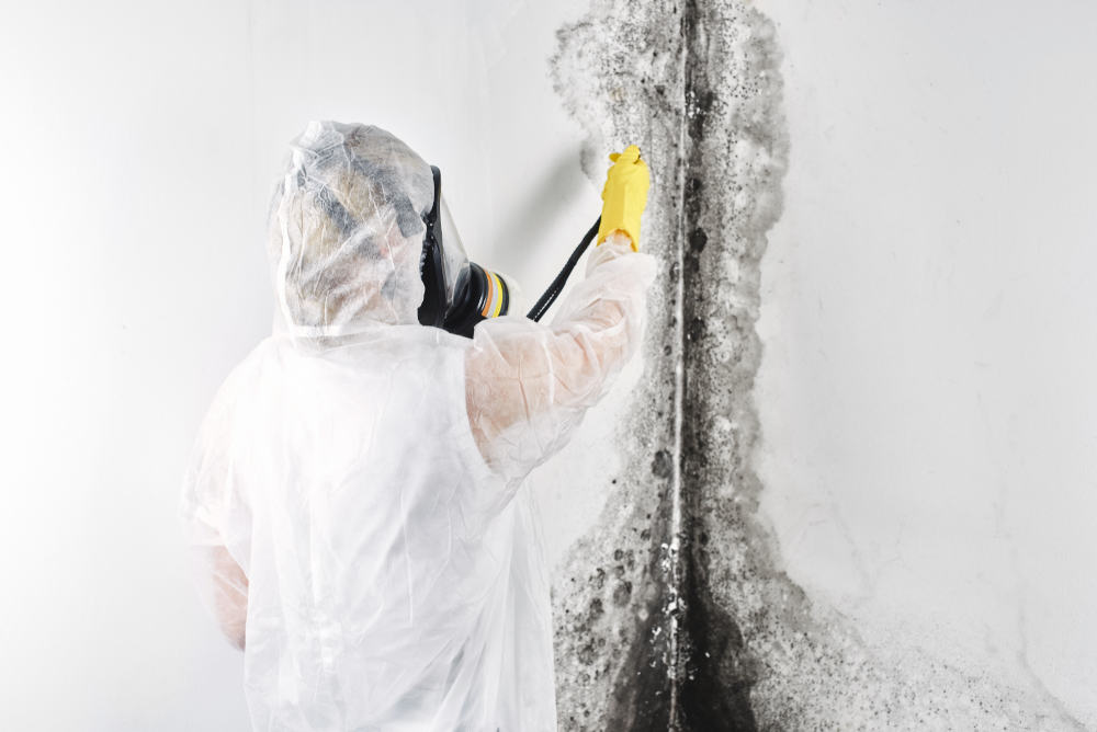 Effective Mold Abatement: Your Guide to a Healthier Home!