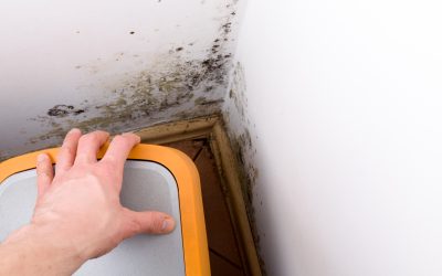 Exploring Mold Remediation Cost: A Comprehensive Overview