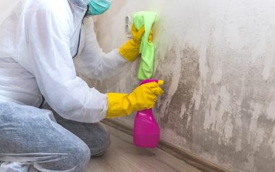 Preventing Mold Growth in Your Home