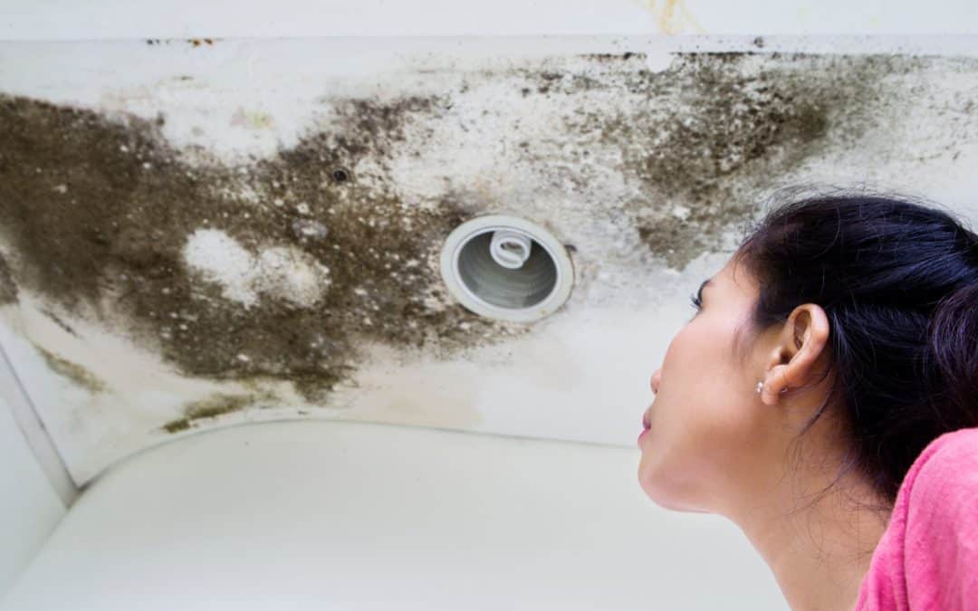 Signs of Mold in Your Home (And How to Spot Them Early)