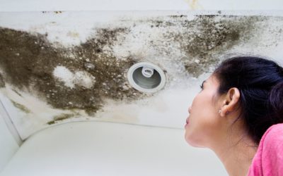 Signs of Mold in Your Home (And How to Spot Them Early)